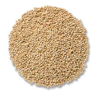 2026_06_02_2088679