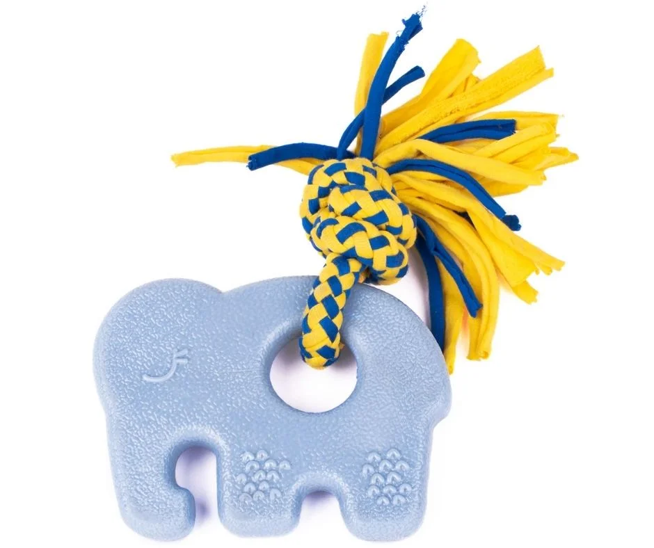 2026_06_02_2113068