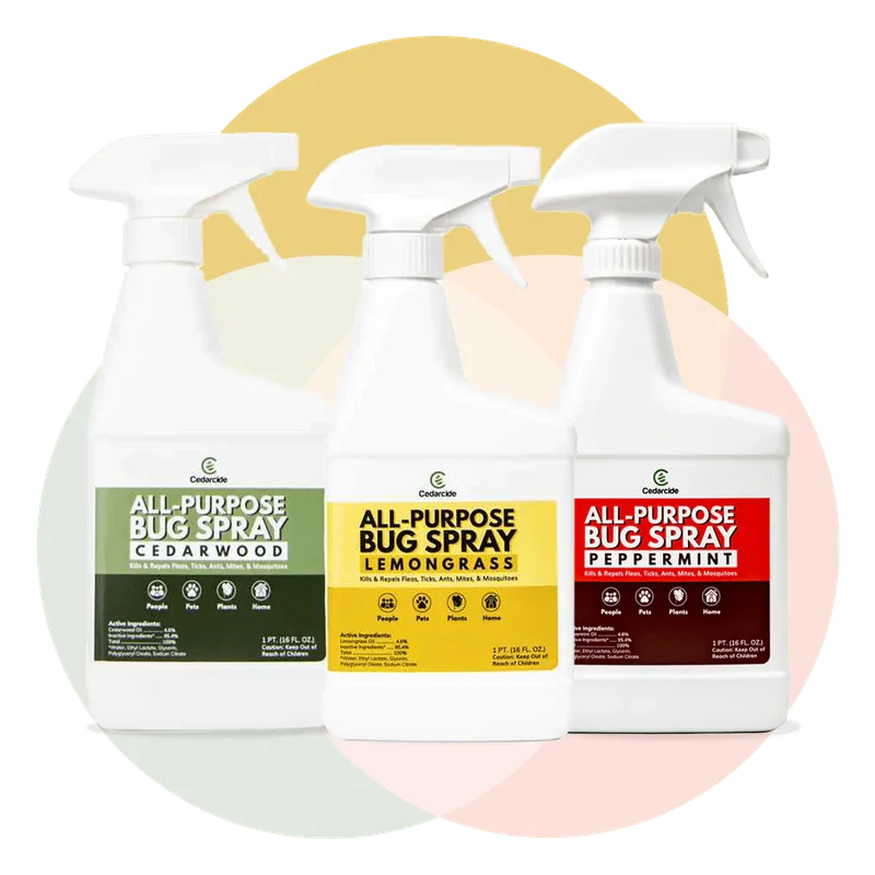 2026_06_02_2145852