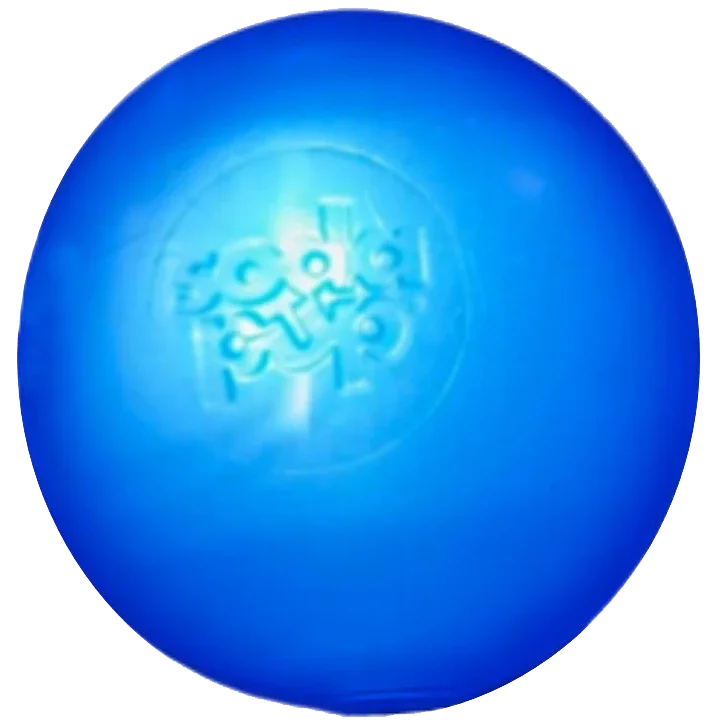 2026_06_03_2275630
