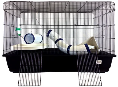 feederspetsupply202606021559062052768