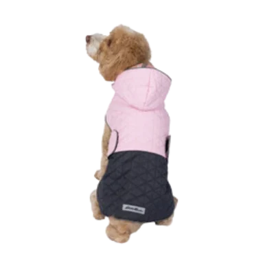 feederspetsupply202606021653292064156