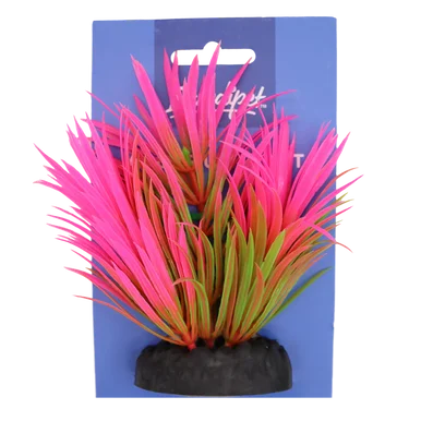 feederspetsupply202606021703242067887