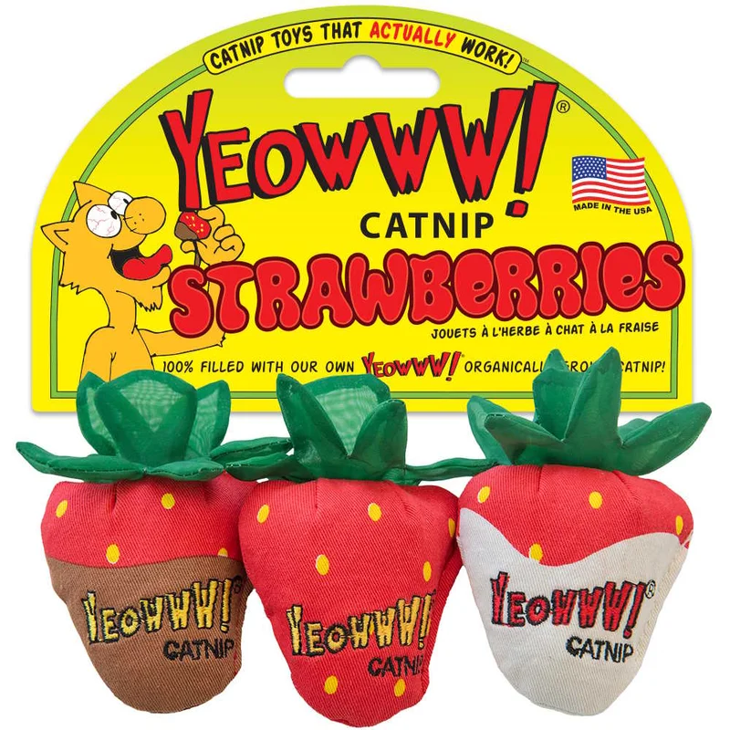 naturalpetwarehouse202606021731342079092