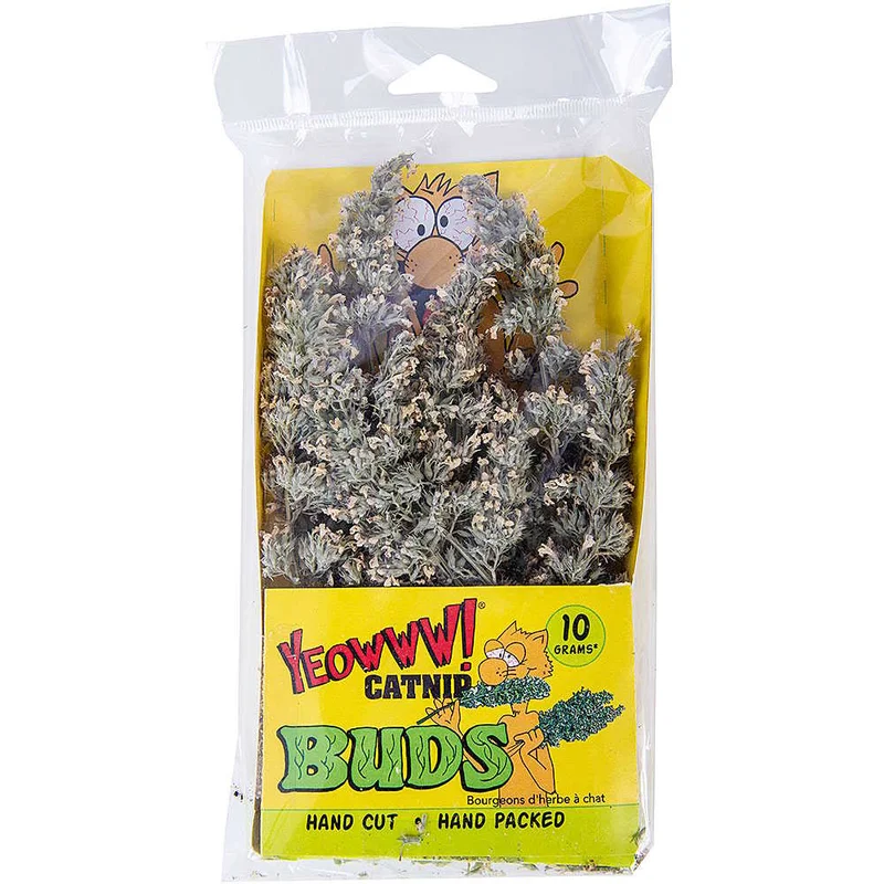 naturalpetwarehouse202606021731392079123