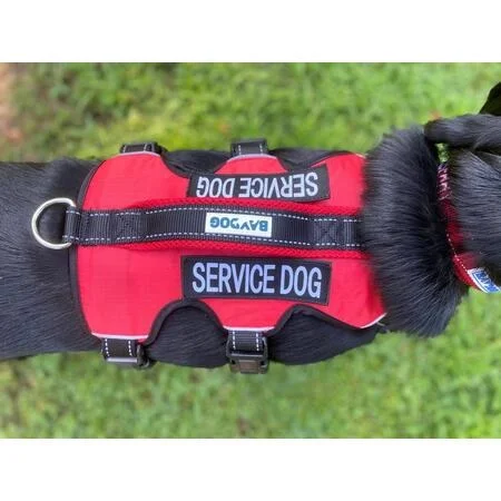 petnation202606021707152069397
