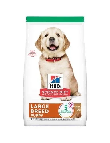 petnation202606021720522074905