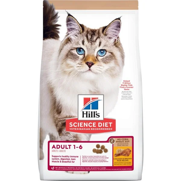 petnation202606021827372097513