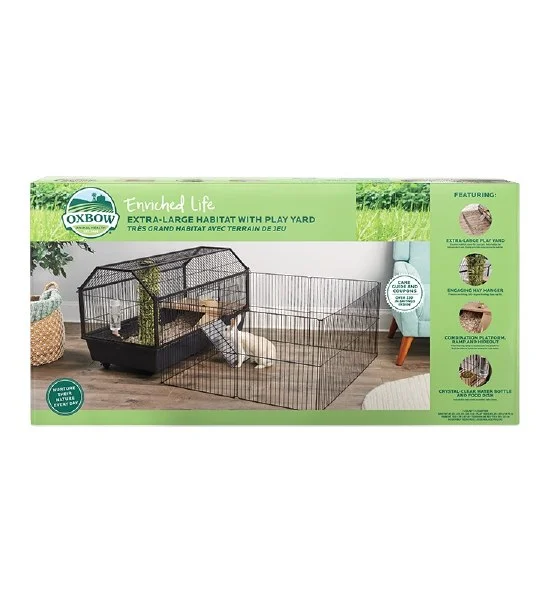 petnation202606021938512112963