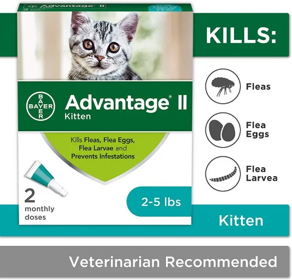petnation202606021946442114380