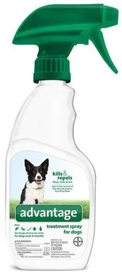 petnation202606022019472120227