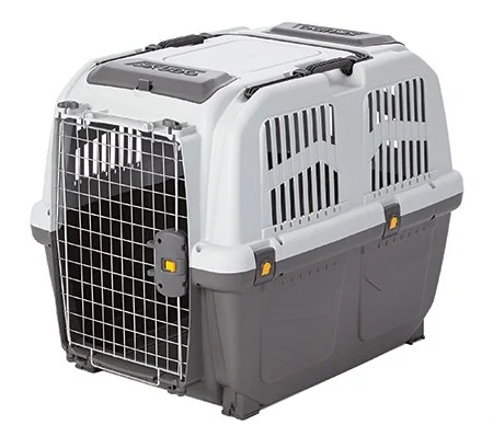 petnation202606022053182125233