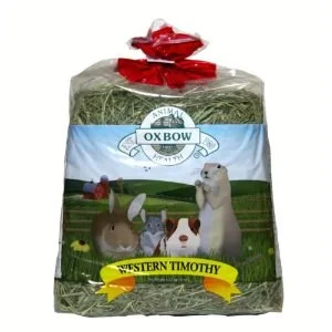 petnation202606022157062133783
