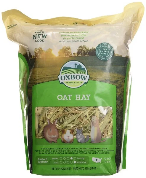 petnation202606022157162133805