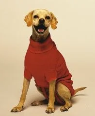 petnation202606022210282135506