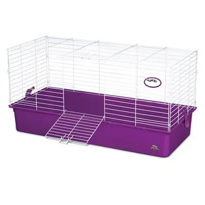 petnation202606022225002137510