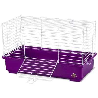 petnation202606022230422138282